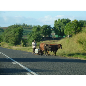 Picture Fiji Nadi to Sigatoka road 2010-05 30 - Map Nadi to Sigatoka road