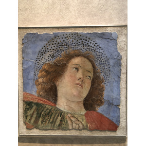 Picture Italy Rome Vatican Museum 2024-09 298 - Photographer Vatican Museum