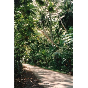 Picture Polynesia 1993-04 18 - Trail Polynesia