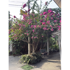 Picture Thailand Chiang Mai 2024-12 44 - Perspective Chiang Mai