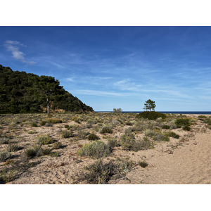 Picture France Corsica Ovu Santu Beach⁩ 2024-05 6 - Photos Ovu Santu Beach⁩