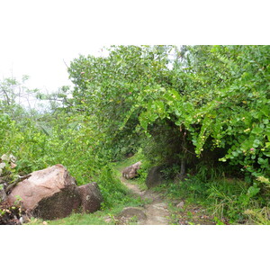 Picture Seychelles Anse Lazio 2011-10 113 - Trail Anse Lazio