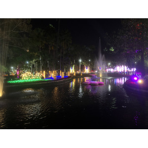 Picture Thailand Chiang Mai Nong Buak Haad Public Park 2024-01 42 - Photos Nong Buak Haad Public Park