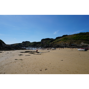 Picture France Belle-Ile 2016-08 188 - Randonee Belle-Ile