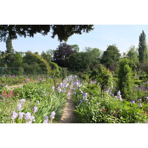Picture France Giverny 2013-06 68 - Photographers Giverny