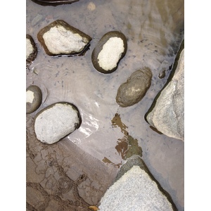 Picture Costa Rica Pacuare River 2015-03 52 - Map Pacuare River