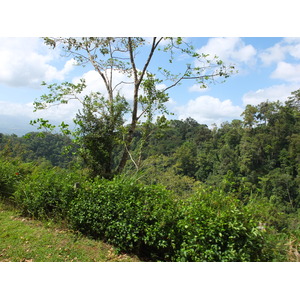 Picture Costa Rica Turrialba 2015-03 58 - Views Turrialba