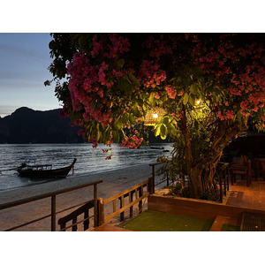 Picture Thailand Ko Phi Phi Don 2021-12 138 - Views Ko Phi Phi Don