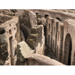 Picture Italy Rome The Colosseum 2024-09 29 - Sight The Colosseum