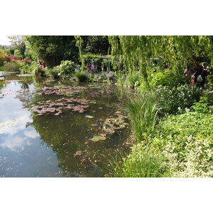 Picture France Giverny 2013-06 113 - Photos Giverny