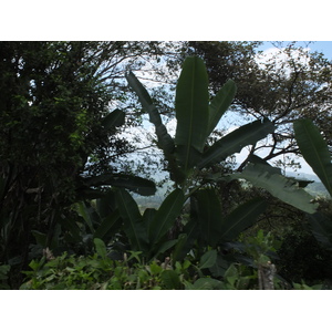 Picture Costa Rica Turrialba 2015-03 83 - Views Turrialba