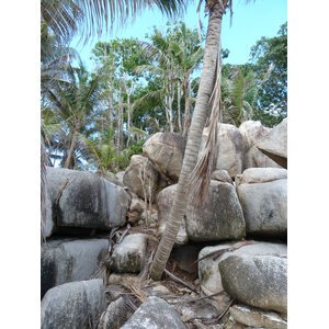 Picture Seychelles Coco Island 2011-10 6 - Car Coco Island