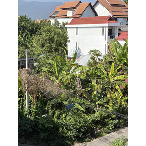Picture Thailand Chiang Mai Kalm 2024-12 21 - Pictures Kalm