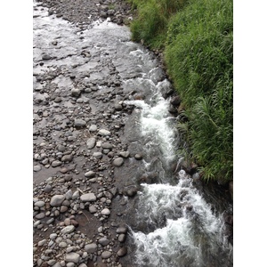 Picture Costa Rica Turrialba 2015-03 33 - Trips Turrialba