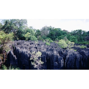 Picture Madagascar Tsingy 1999-10 2 - Tourist Places Tsingy