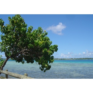 Picture Polynesia Bora Bora 2006-04 57 - Sight Bora Bora