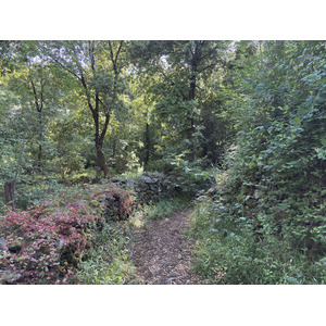 Picture France Corsica Corte 2025-06 20 - Travels Corte