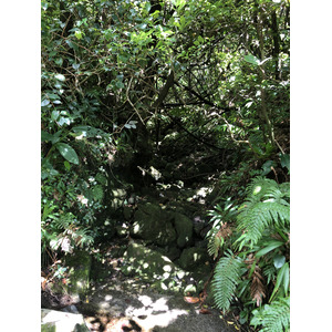 Picture Guadeloupe La Grande Soufriere 2021-02 7 - Trail La Grande Soufriere