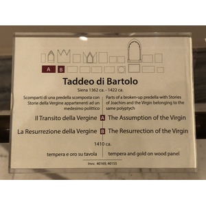 Picture Italy Rome Vatican Museum 2024-09 157 - Photographer Vatican Museum