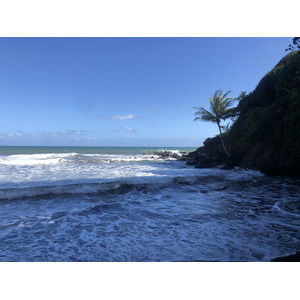 Picture Guadeloupe Bananier 2021-02 6 - Sight Bananier