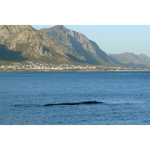 Picture South Africa Harmanus 2008-09 14 - Visit Harmanus