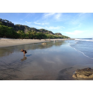 Picture Costa Rica Montezuma 2015-03 251 - Picture Montezuma