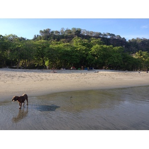 Picture Costa Rica Montezuma 2015-03 293 - Car Rental Montezuma