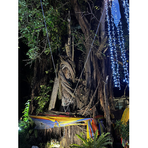 Picture Thailand Ko Phi Phi Don 2021-12 197 - Perspective Ko Phi Phi Don