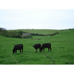 Picture United Kingdom Pembrokeshire Dale 2006-05 8 - Views Dale