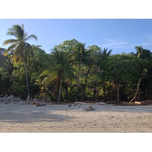 Picture Costa Rica Montezuma 2015-03 595 - Visit Montezuma