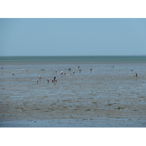 Picture France Noirmoutier 2010-07 32 - Discover Noirmoutier