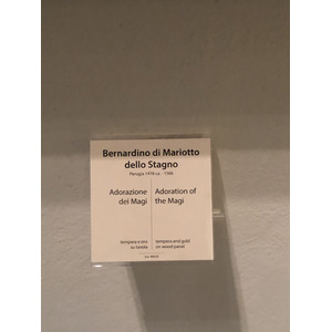 Picture Italy Rome Vatican Museum 2024-09 109 - Photos Vatican Museum