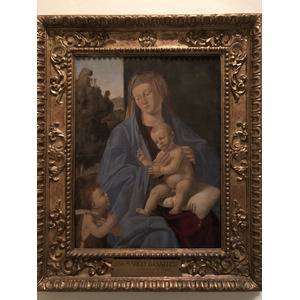 Picture Italy Rome Vatican Museum 2024-09 276 - Visit Vatican Museum