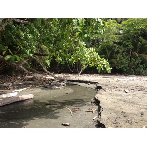 Picture Costa Rica Montezuma 2015-03 351 - Sight Montezuma