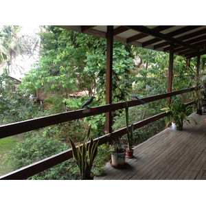 Picture Costa Rica Montezuma 2015-03 557 - View Montezuma