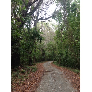 Picture Costa Rica Montezuma 2015-03 341 - Sightseeing Montezuma