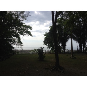 Picture Costa Rica Montezuma 2015-03 429 - Sight Montezuma