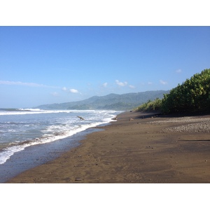 Picture Costa Rica Uvita 2015-03 94 - Picture Uvita