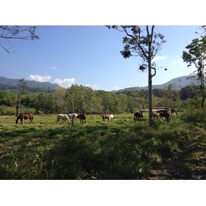 Picture Costa Rica Uvita 2015-03 13 - Views Uvita