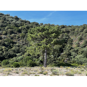 Picture France Corsica Ovu Santu Beach⁩ 2024-05 0 - Photos Ovu Santu Beach⁩