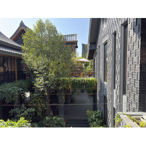 Picture Thailand Chiang Mai Kalm 2024-12 58 - Photos Kalm