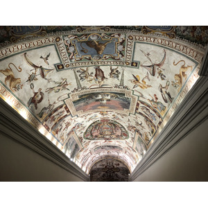 Picture Italy Rome Vatican Museum 2024-09 287 - Sight Vatican Museum