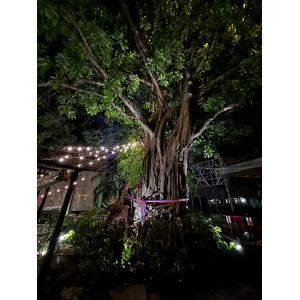 Picture Thailand Ko Phi Phi Don 2021-12 133 - Picture Ko Phi Phi Don