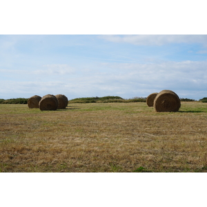 Picture France Belle-Ile 2016-08 219 - Picture Belle-Ile