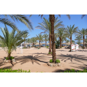Picture Egypt Sharm el Sheikh 2008-06 66 - Picture Sharm el Sheikh