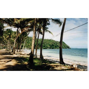 Picture Philippines Boracay 1997-03 8 - Trail Boracay