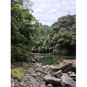 Picture Costa Rica Pacuare River 2015-03 252 - Sightseeing Pacuare River