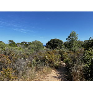 Picture France Corsica Ovu Santu Beach⁩ 2024-05 7 - Visit Ovu Santu Beach⁩