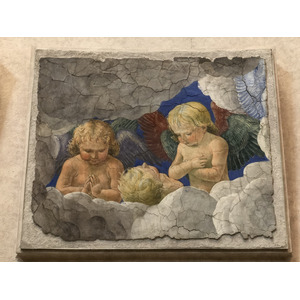 Picture Italy Rome Vatican Museum 2024-09 167 - Photographer Vatican Museum