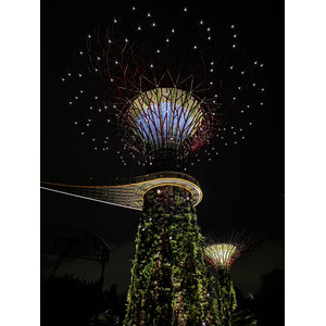 Picture Singapore Garden by the bay 2023-01 44 - Road Map Garden by the bay